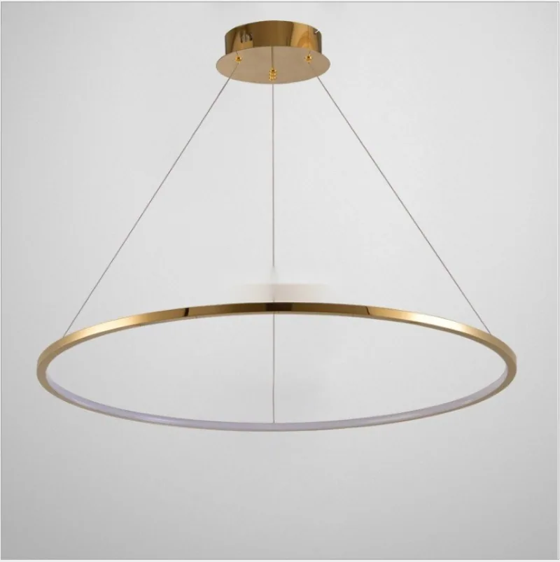 Modern Stainless Steel Ring Chandelier — Duplex, Villa & Living Room — view 9