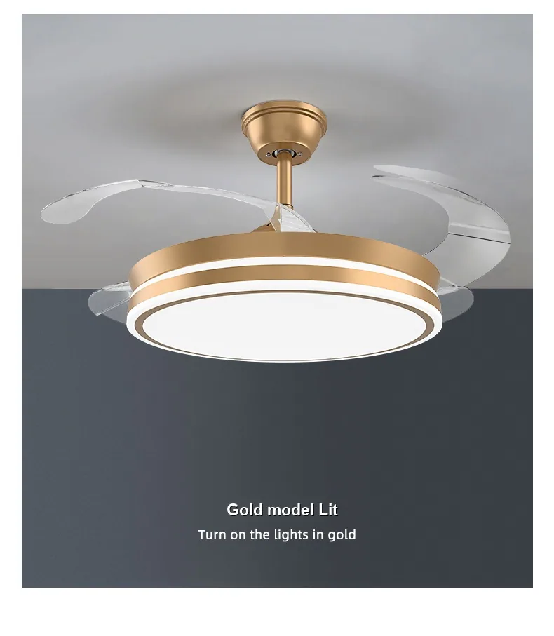 Modern Retractable Fan Ceiling Fan Light — Living Room, Bedroom & Dining Room (Model TM668472750179) — view 11