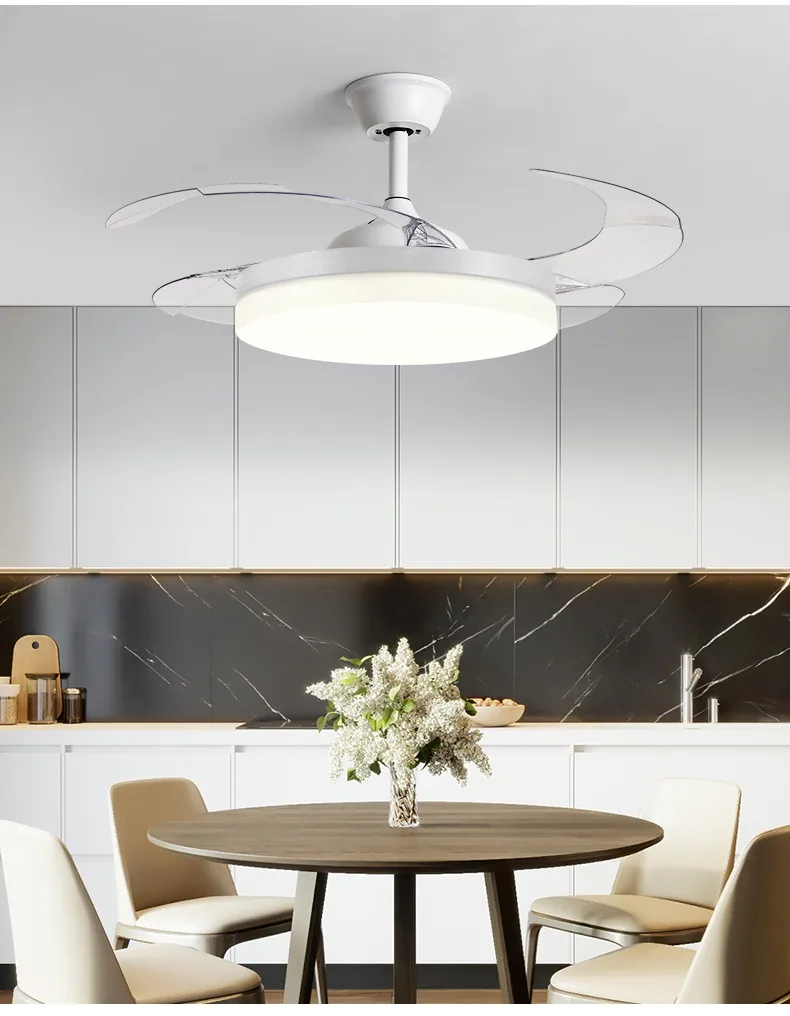 Modern Variable-Frequency Remote-Controlled Ceiling Fan Light — Living Room, Bedroom & Dining Room — view 13